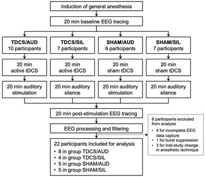Effect of transcranial direct current stimulation and narrow-band auditory stimulation on the intraoperative electroencephalogram: an exploratoratory feasibility study